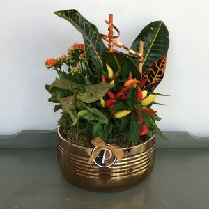 Autumn Sketches Planter