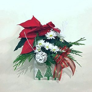CH042 Christmas Poinsettia Planter