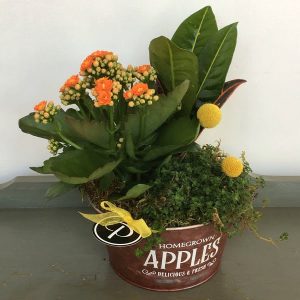 Farmer Market Planter