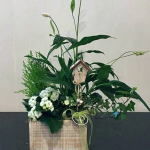 PL019-Plant