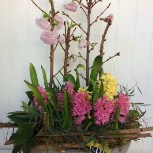 PL028-Garden Glade Plant
