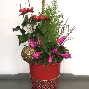 PL030 Malvina Planter Arrangement but Posy Floral Design