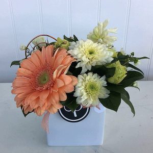 PP003 Posy Orange Arrangement