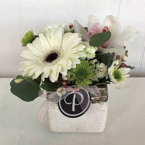 Posy White and Green Arrangement