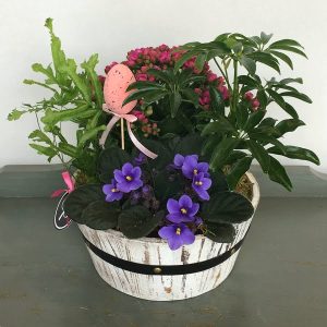 Garden Planter by Posy Floral Design