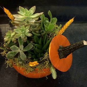 Thanksgiving flower arrangement by Posy Floral Design