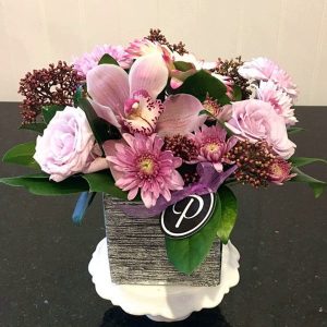 PP023 Posy Pink Cymbidium