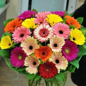 Gerberas Bouquet 015