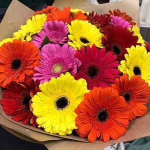 Gerberas Bouquet 031