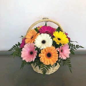 Gerberas Arrangement