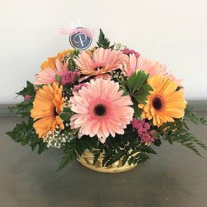 Gerberas Arrangement