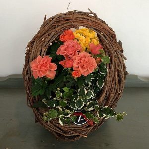 Plant
