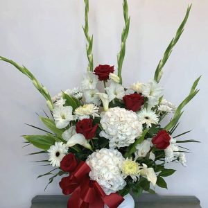 Gladiolus