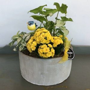 Special Buy by Posy Floral Design