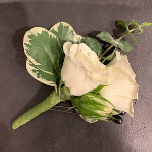 Boutonniere & Corsage by Posy Floral Design