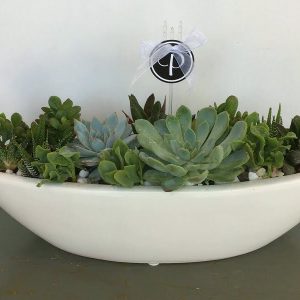 SC023 White Boat Party Succulents