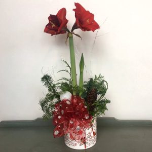 CH003 Christmas Floral Arrangement buy Posy Floral Design