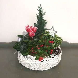 CH005 Christmas Arrangement buy Posy Floral Design