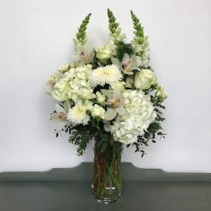 Snapdragons