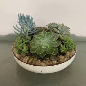 SC024 Succulent Planter