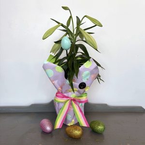 PL039 Easter Lily Plant