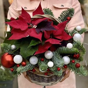 Poinsettia Christmas Floral Arrangement